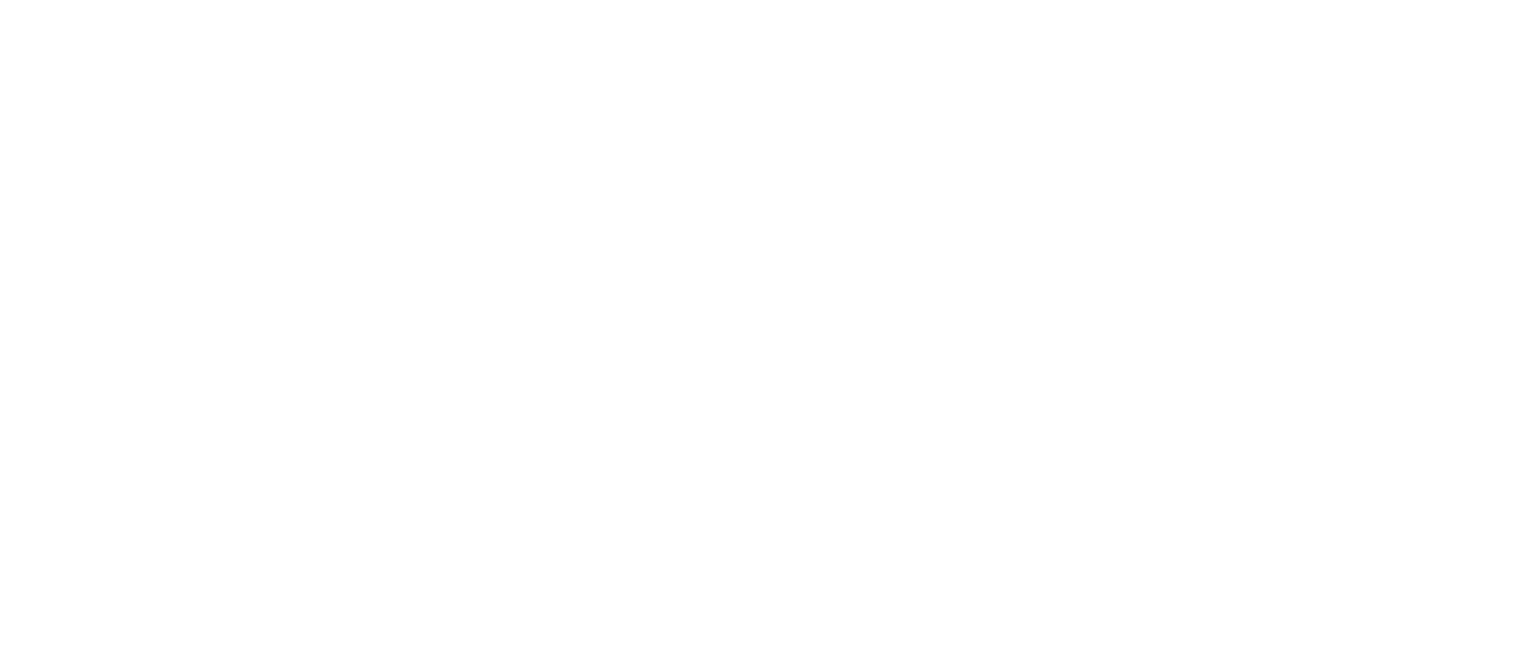 logg_becia holding_